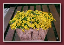 Kliknite za pove�avo slike